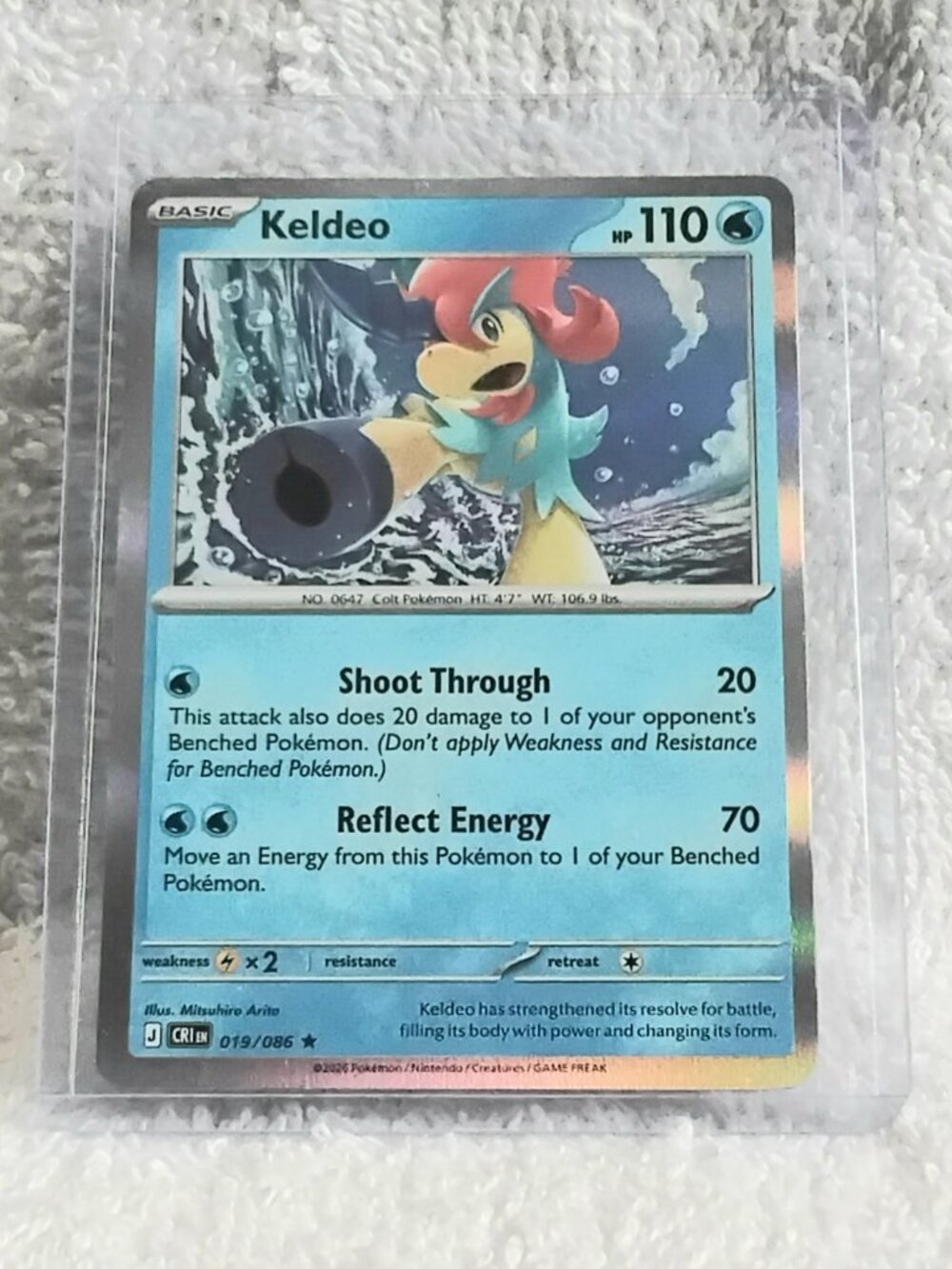 Mint 2026 Pokemon Keldeo Rare ☆ Holo Card 019/086!!
